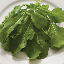 Load image into Gallery viewer, Arugula
