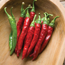 Load image into Gallery viewer, Cayenne Pepper
