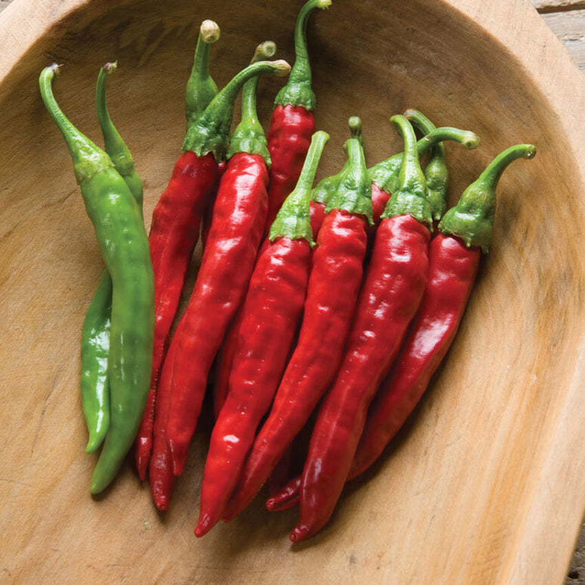 Cayenne Pepper