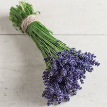 Load image into Gallery viewer, Lavender
