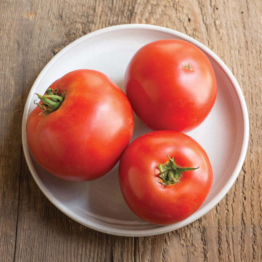 Beefsteak Tomato