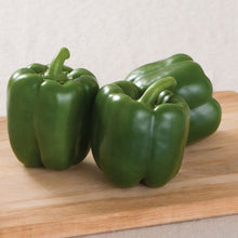 Load image into Gallery viewer, Green Bell Pepper
