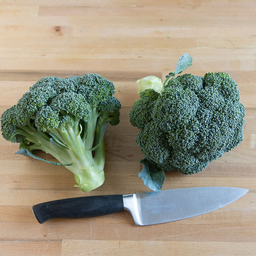 Broccoli