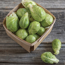 Load image into Gallery viewer, Brussels Sprout
