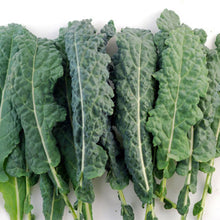 Load image into Gallery viewer, Dinosaur Kale
