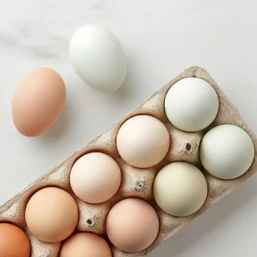 Chicken Eggs - Dozen