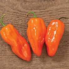 Load image into Gallery viewer, Habanero Pepper
